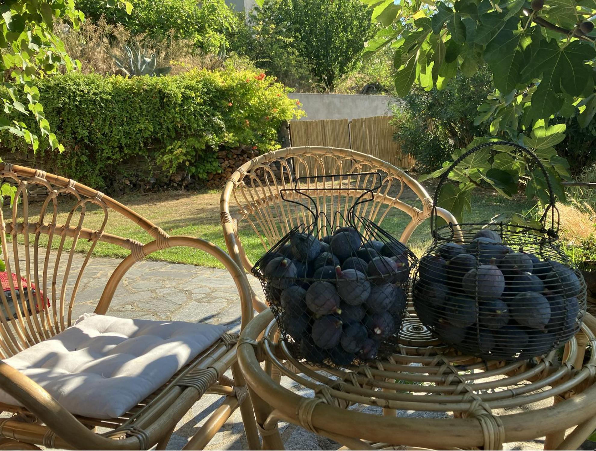 Maison De Charme Corse Sauvage Pietra-di-Verde Buitenkant foto