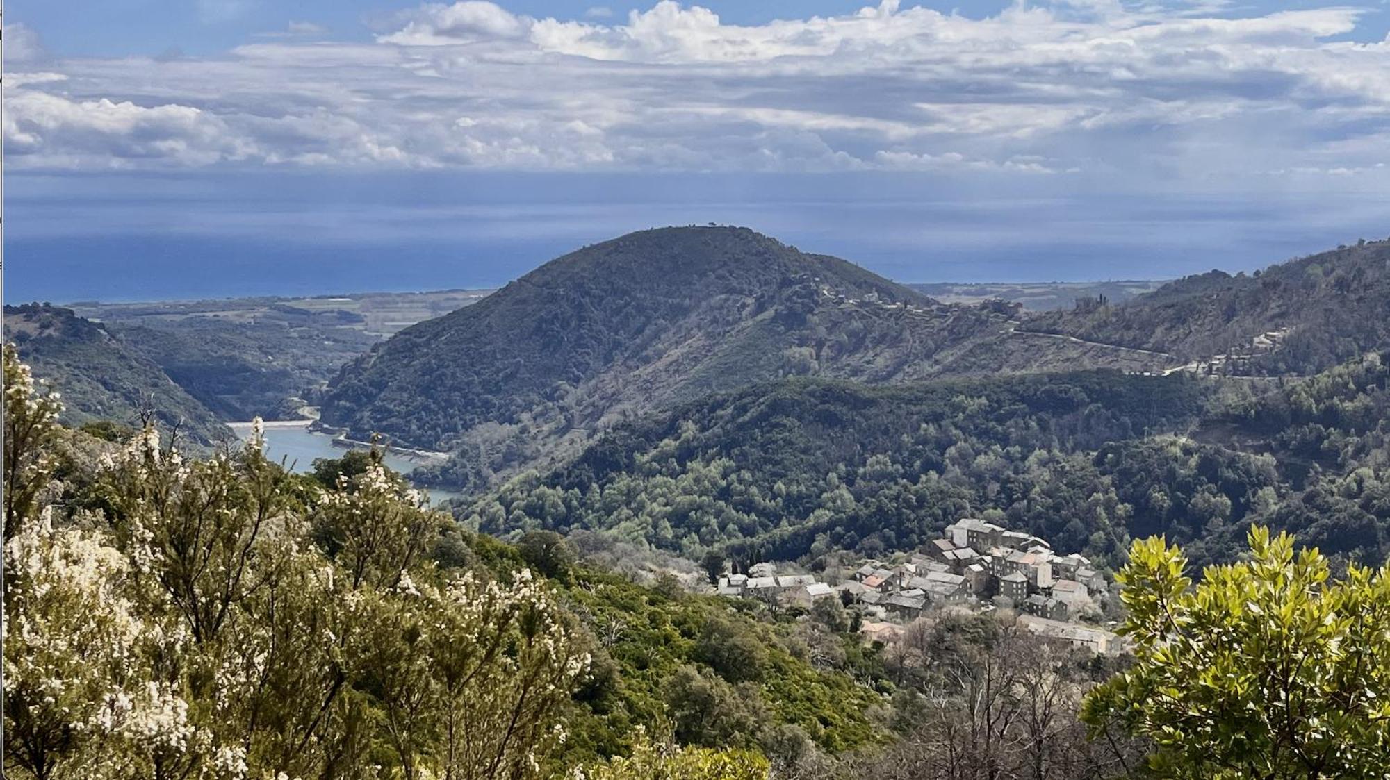 Maison De Charme Corse Sauvage Pietra-di-Verde Buitenkant foto